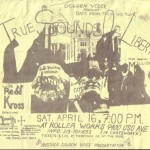 Amazing Punk Flyers & Posters from The 80s (15)