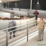 Livestock-Arena