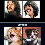 classic-album-covers-ft-kittens-6