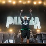 Pantera